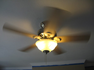 1livingfan1