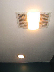 4fandownlight1